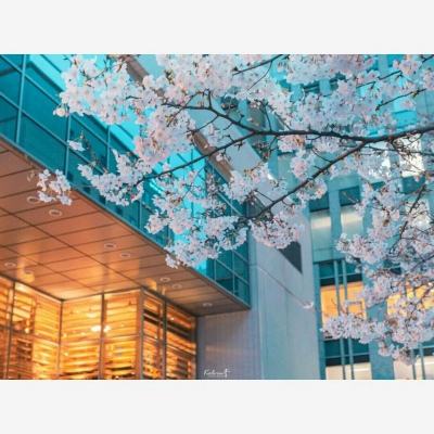 澳州幸运5官方app